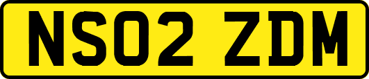 NS02ZDM