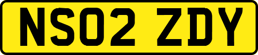 NS02ZDY