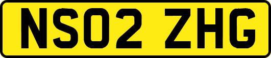 NS02ZHG