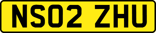 NS02ZHU