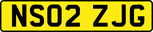 NS02ZJG
