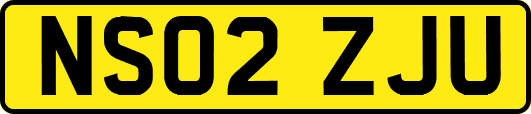NS02ZJU