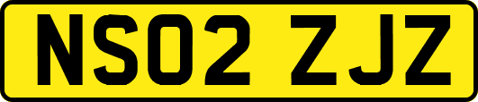 NS02ZJZ