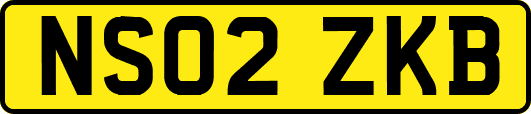 NS02ZKB