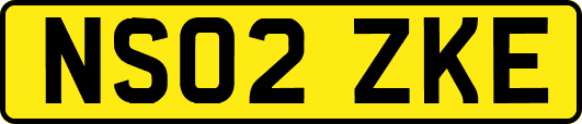 NS02ZKE