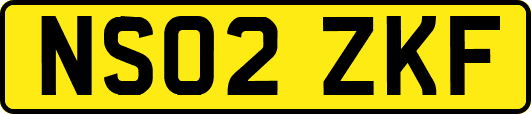 NS02ZKF