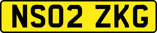 NS02ZKG