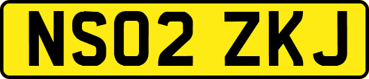 NS02ZKJ