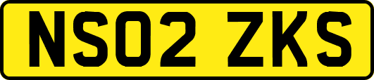 NS02ZKS