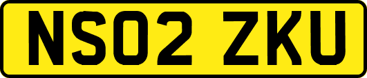 NS02ZKU