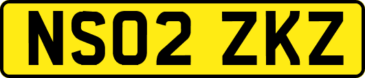 NS02ZKZ