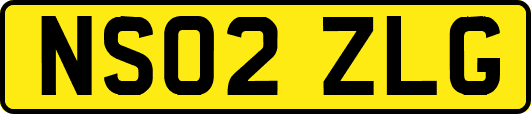 NS02ZLG