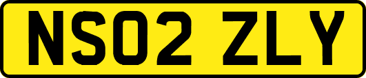 NS02ZLY