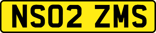 NS02ZMS