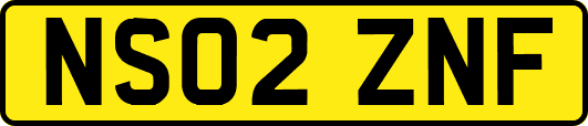 NS02ZNF