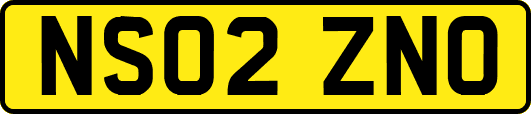 NS02ZNO