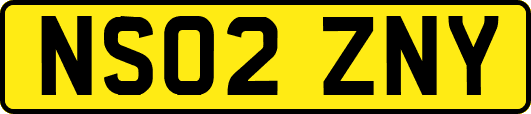 NS02ZNY