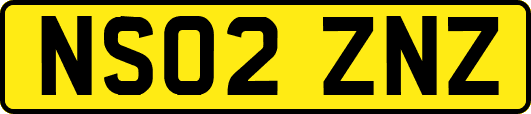 NS02ZNZ