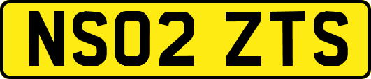 NS02ZTS