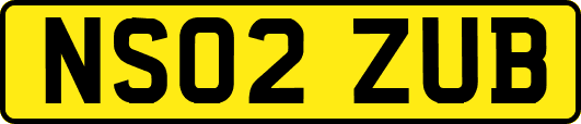 NS02ZUB