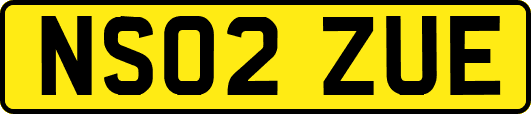 NS02ZUE