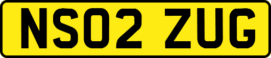 NS02ZUG