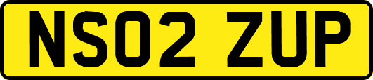 NS02ZUP
