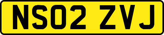 NS02ZVJ