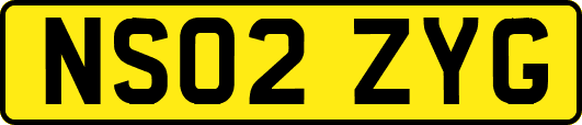 NS02ZYG
