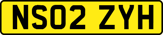 NS02ZYH
