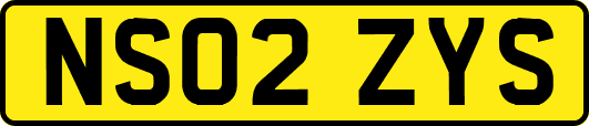 NS02ZYS