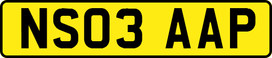 NS03AAP