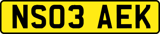 NS03AEK