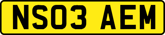 NS03AEM