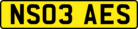 NS03AES
