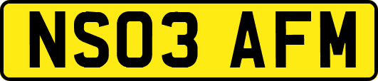NS03AFM