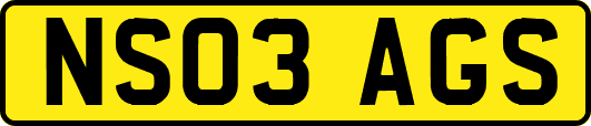 NS03AGS