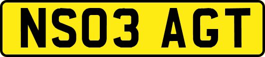 NS03AGT