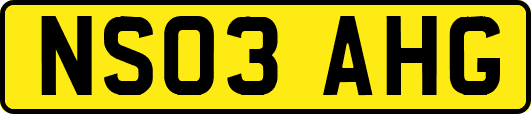 NS03AHG