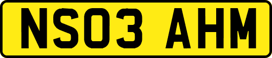 NS03AHM