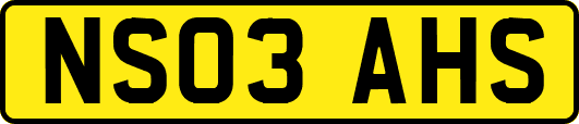 NS03AHS