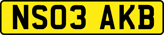 NS03AKB
