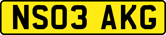 NS03AKG