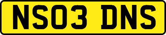 NS03DNS