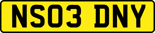 NS03DNY
