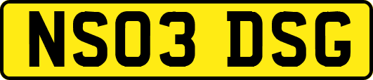 NS03DSG