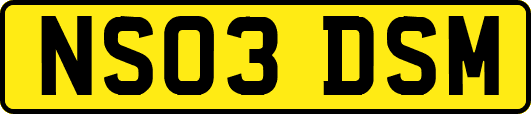 NS03DSM