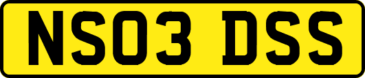 NS03DSS