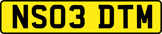 NS03DTM