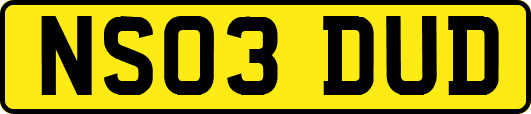 NS03DUD